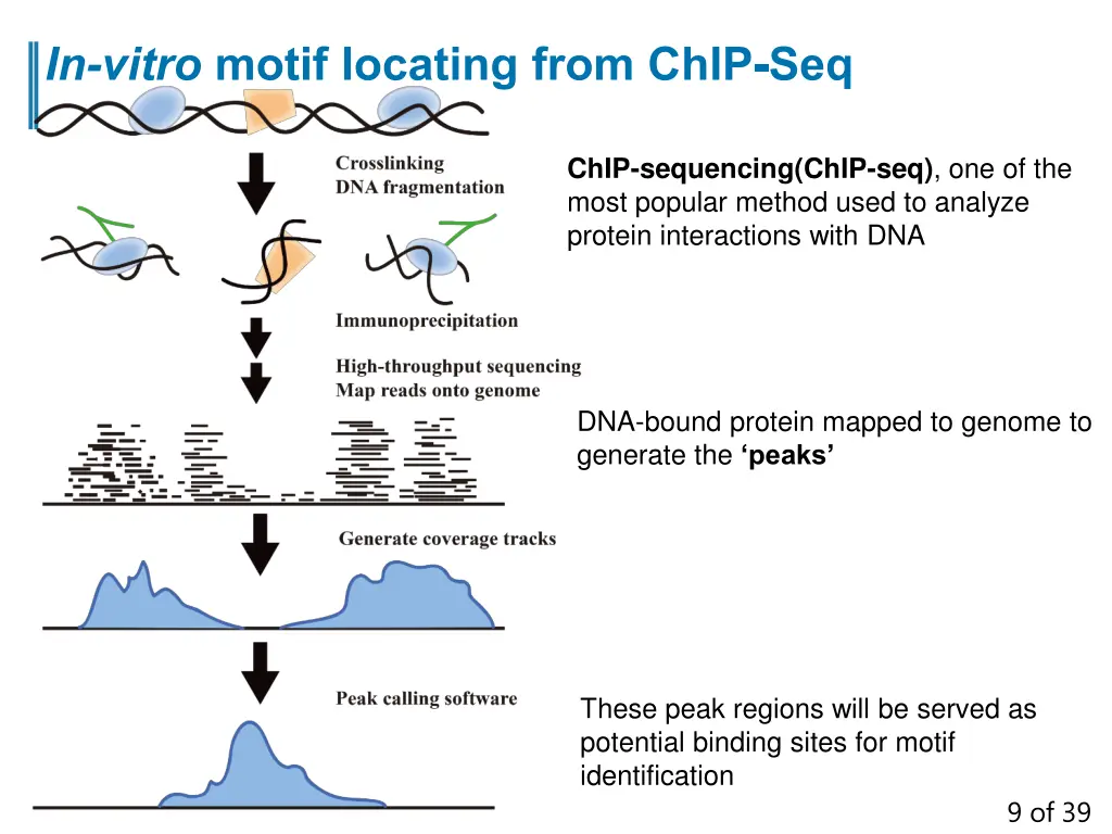 in vitro motif locating from chip seq