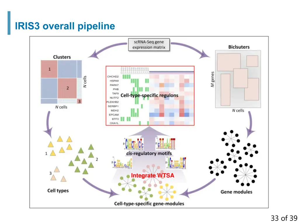 iris3 overall pipeline