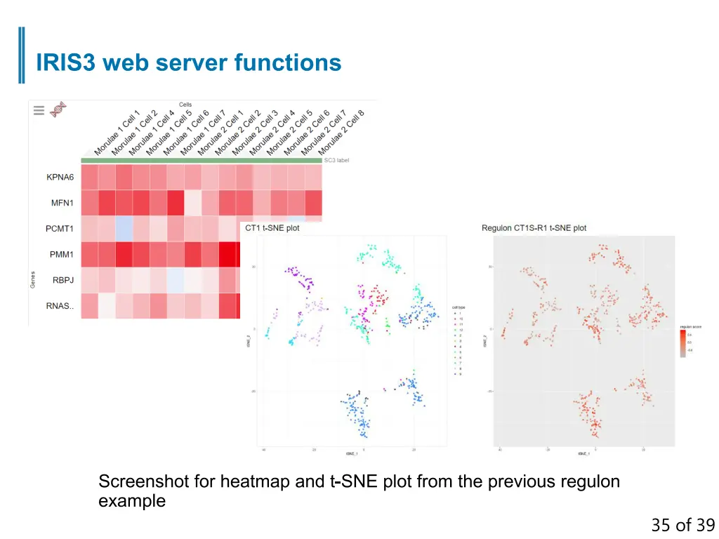 iris3 web server functions