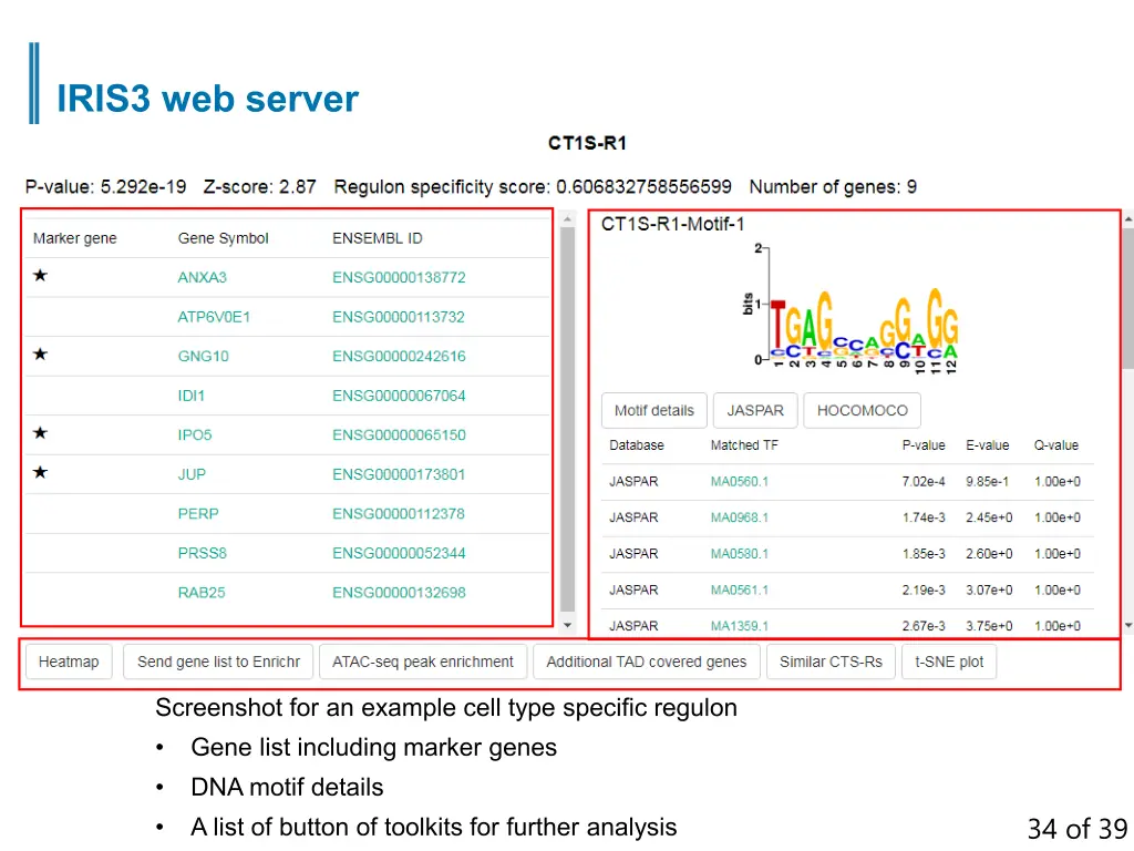 iris3 web server