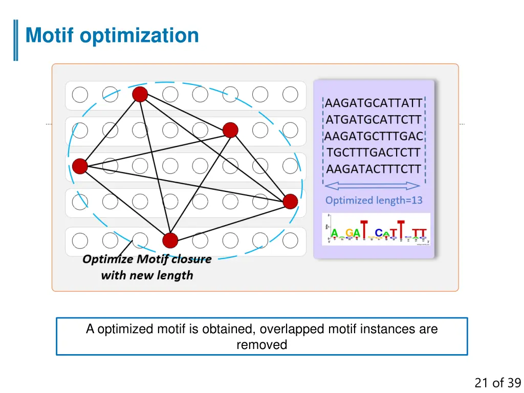 motif optimization