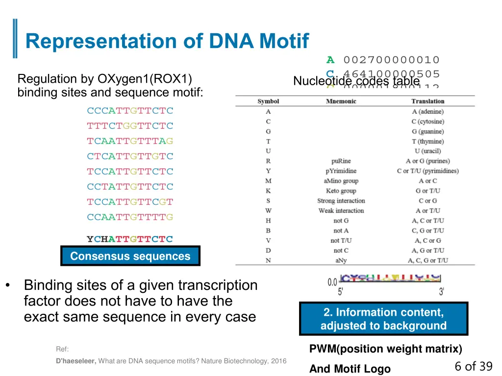 representation of dna motif