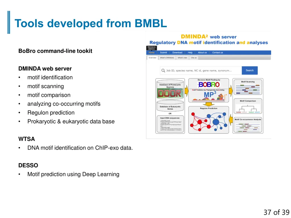 tools developed from bmbl