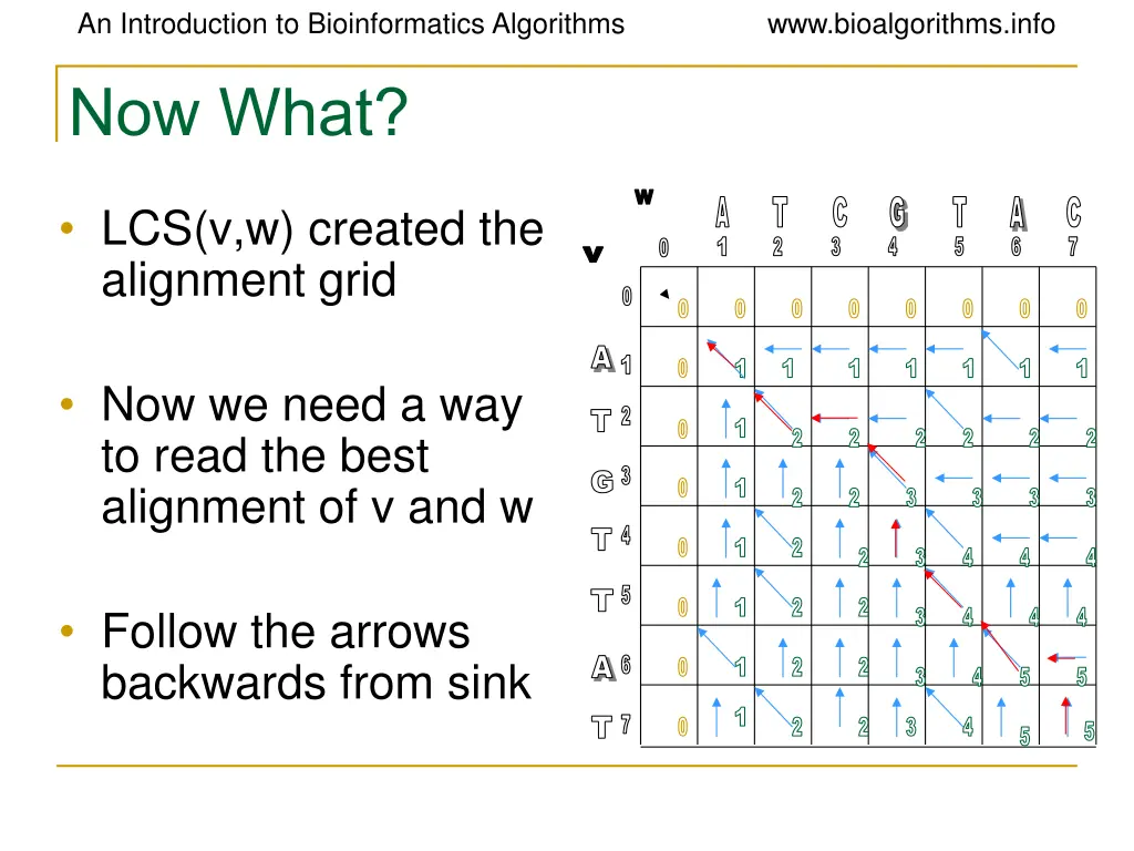 an introduction to bioinformatics algorithms 20