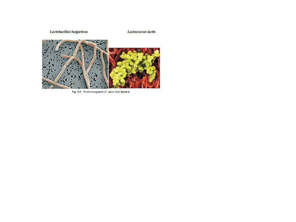slide6