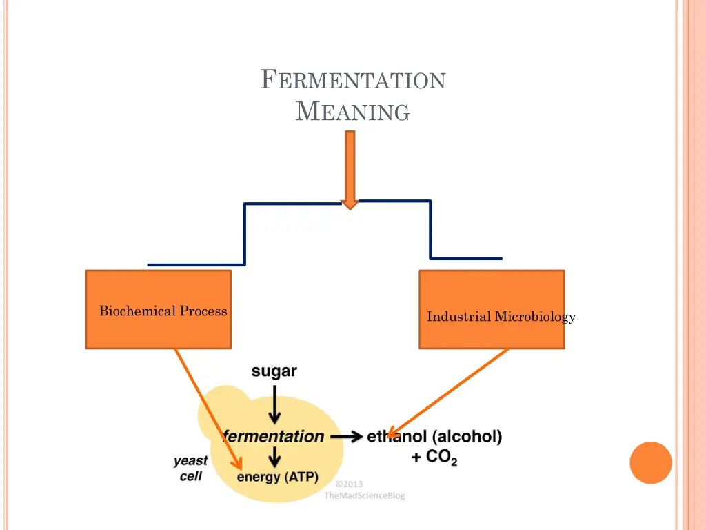 f ermentation m eaning