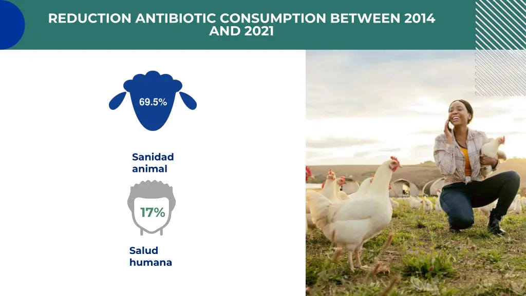 reduction antibiotic consumption between 2014