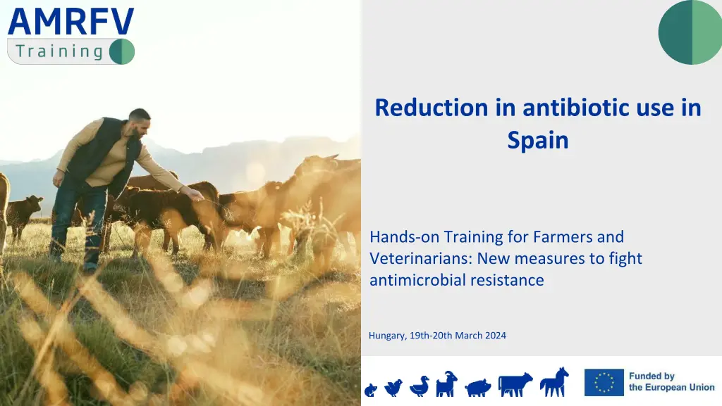 reduction in antibiotic use in spain