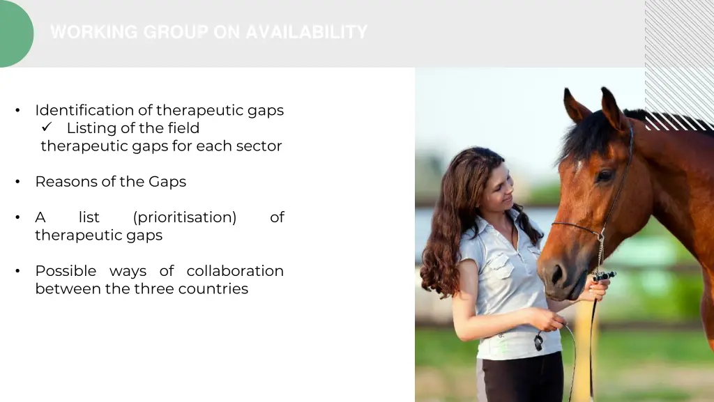 working group on availability 2