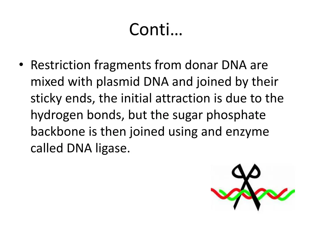 conti 1