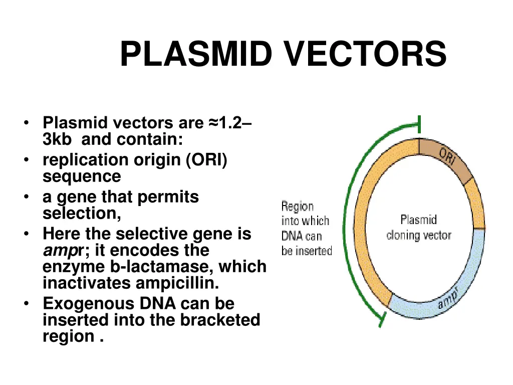 plasmid vectors