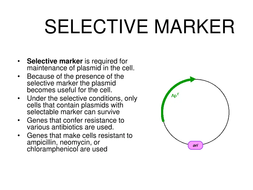 selective marker