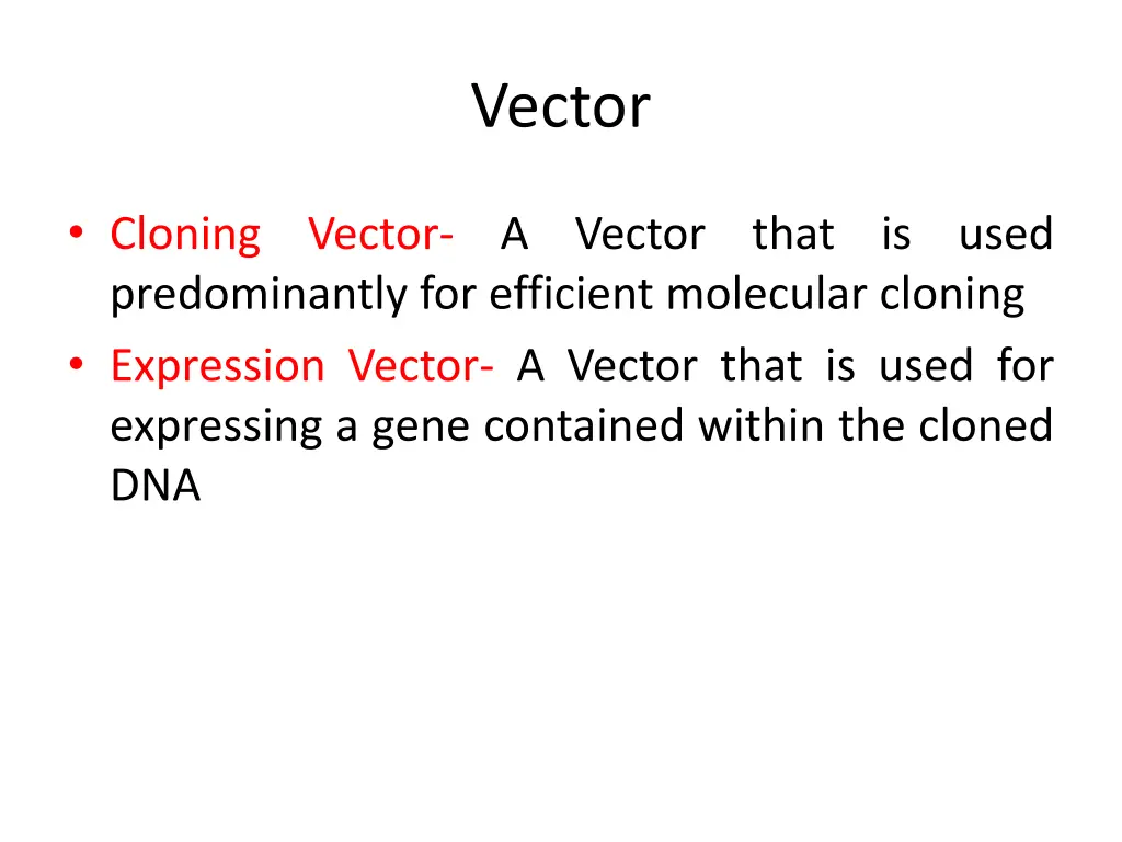 vector