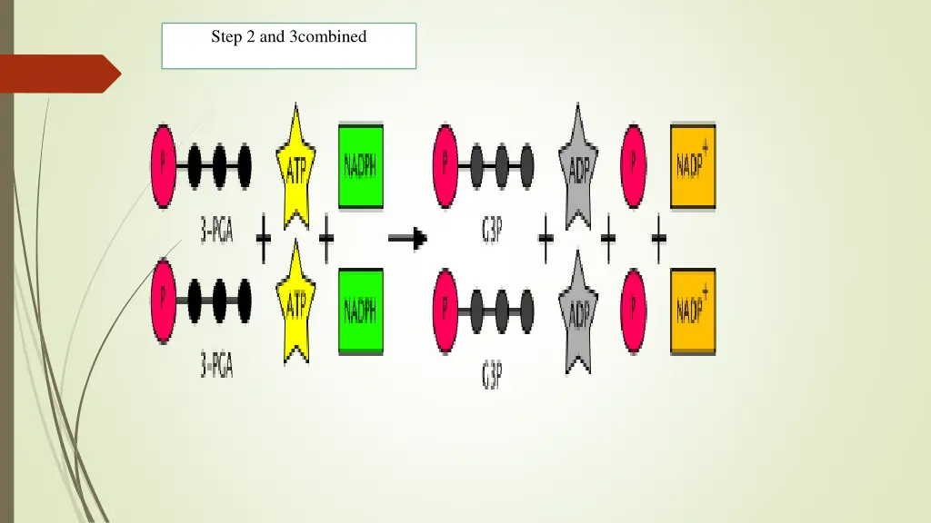 step 2 and 3combined