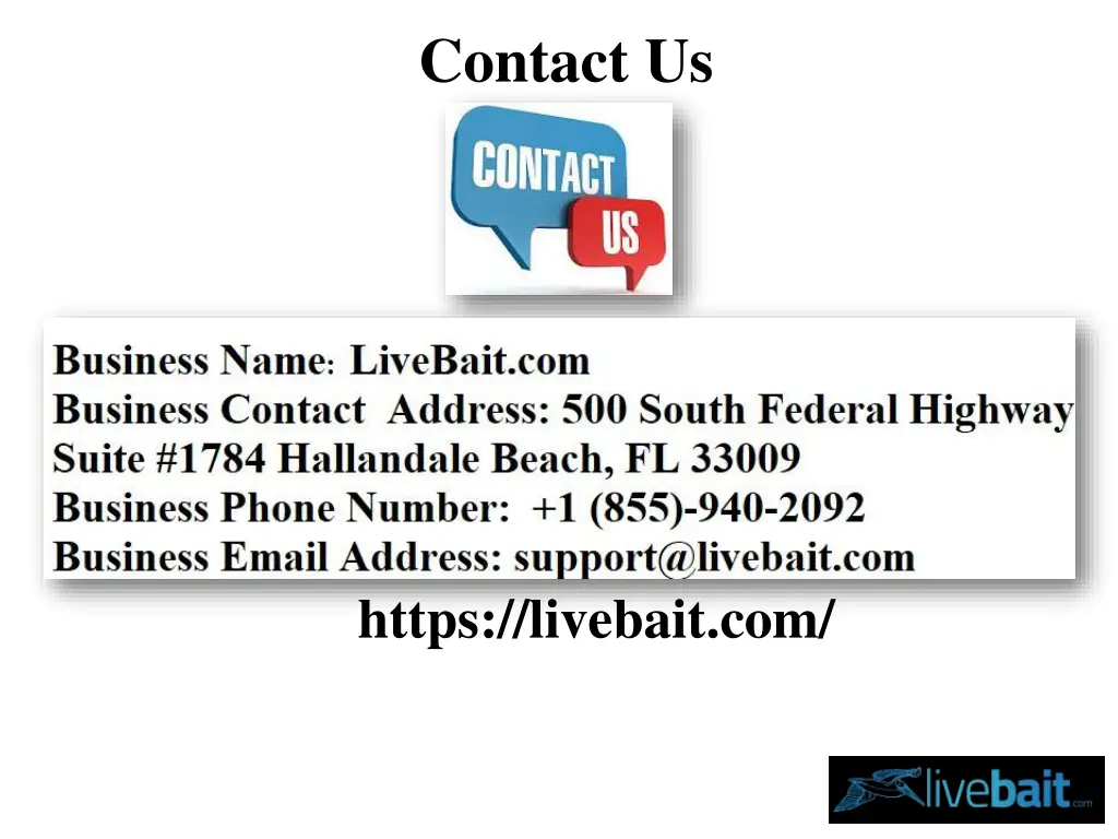 contact us