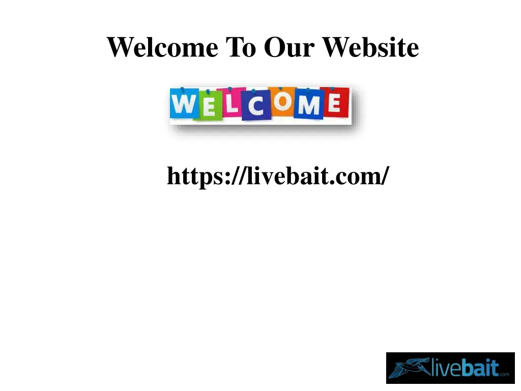 welcome to our website