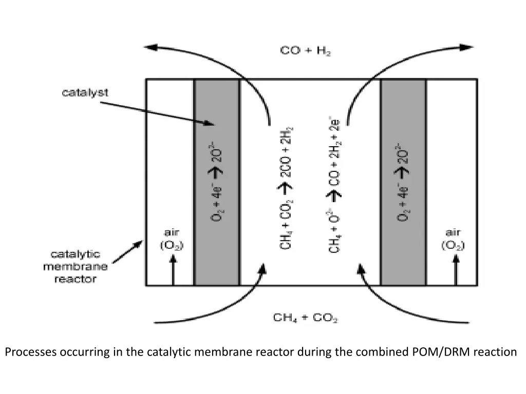 processes occurring in the catalytic membrane