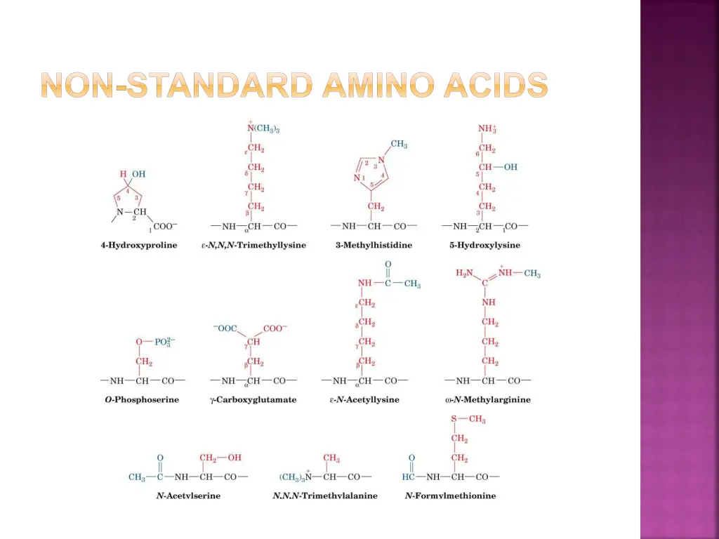 non standard amino acids