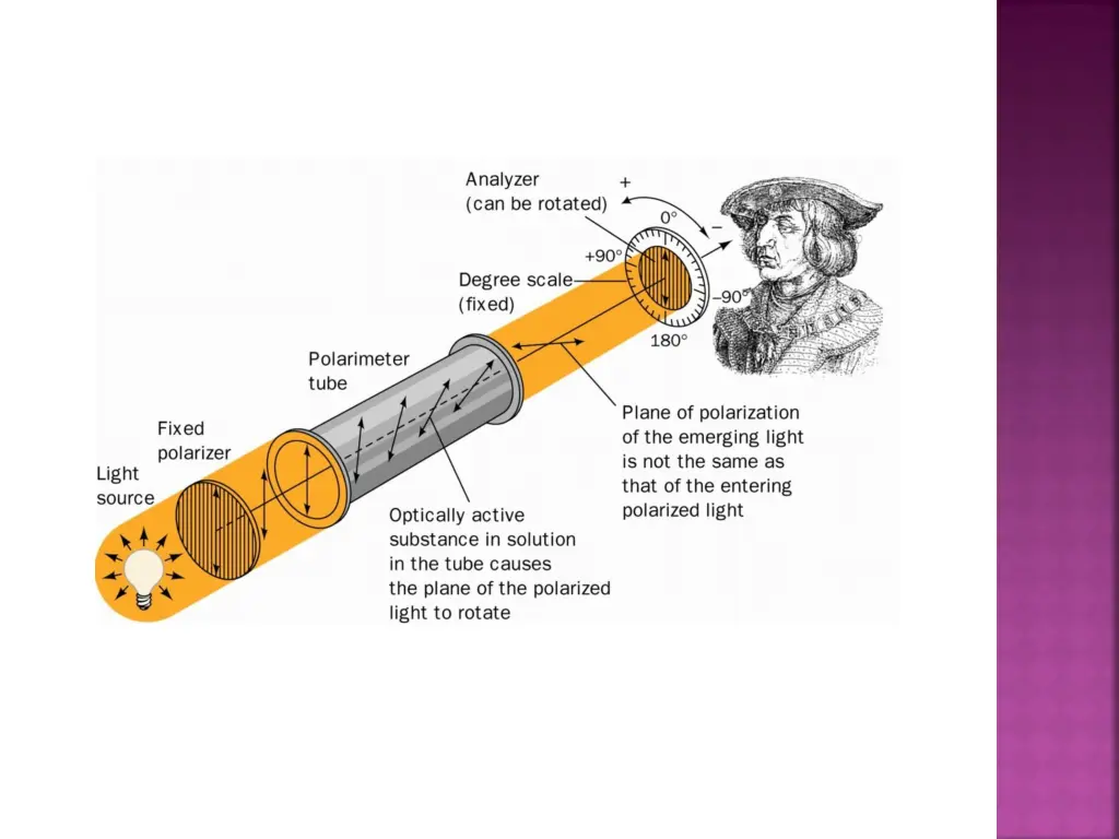 slide19