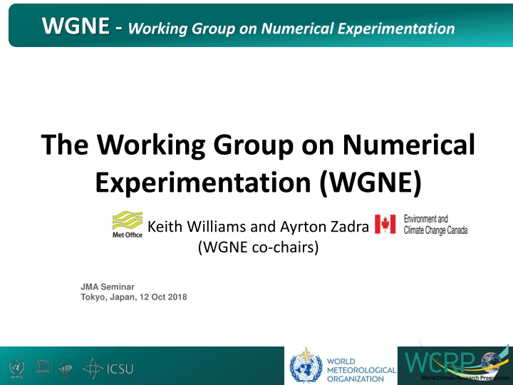 wgne working group on numerical experimentation