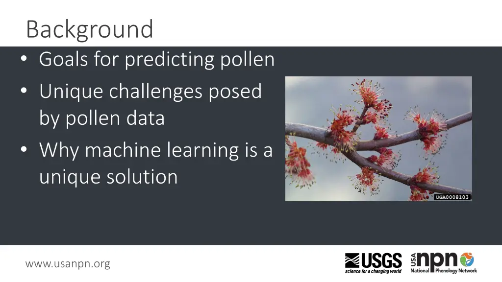 background goals for predicting pollen unique
