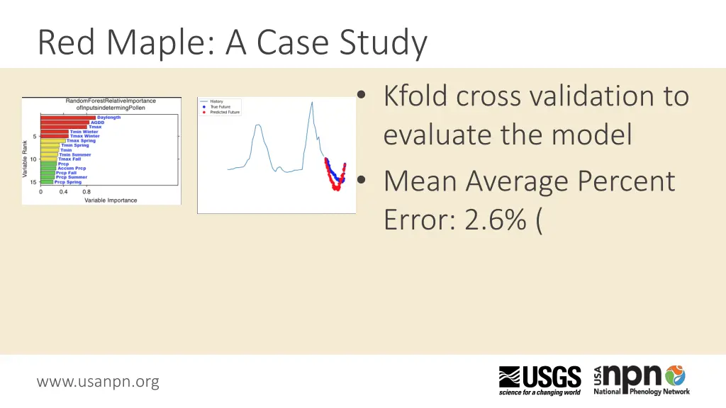 red maple a case study 1