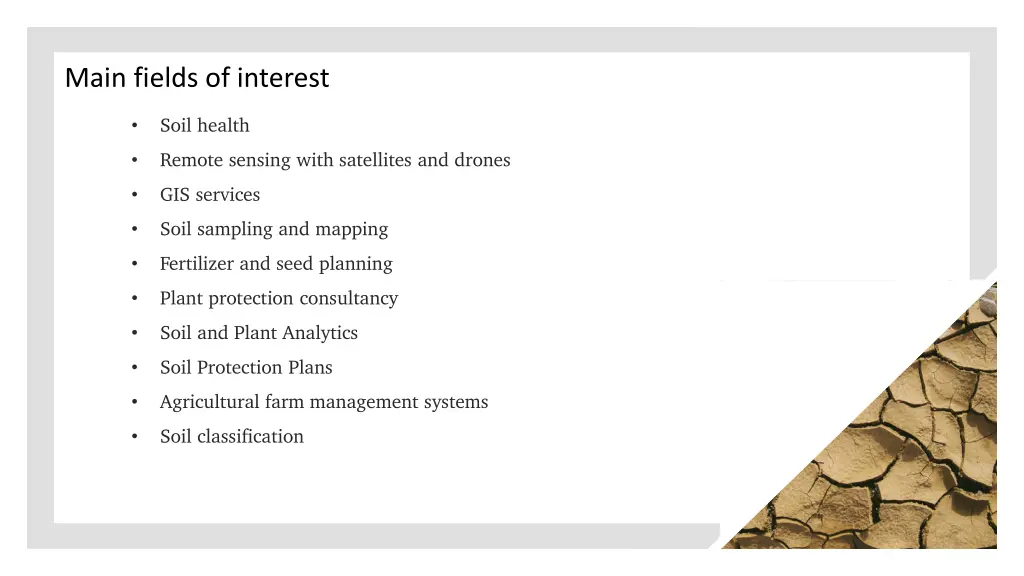 main fields of interest