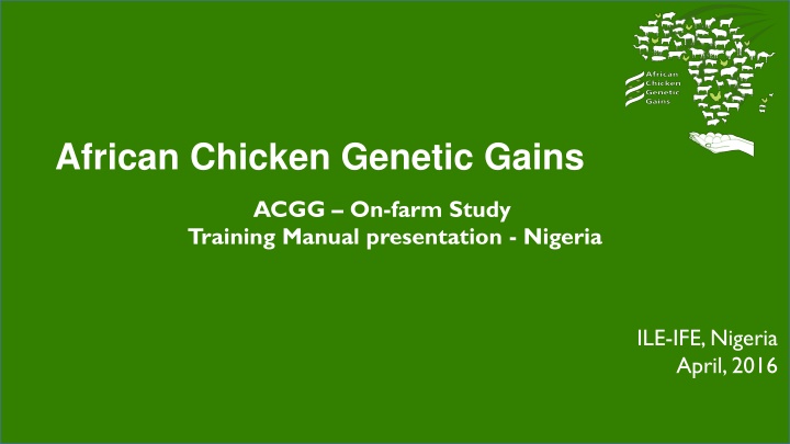 african chicken genetic gains