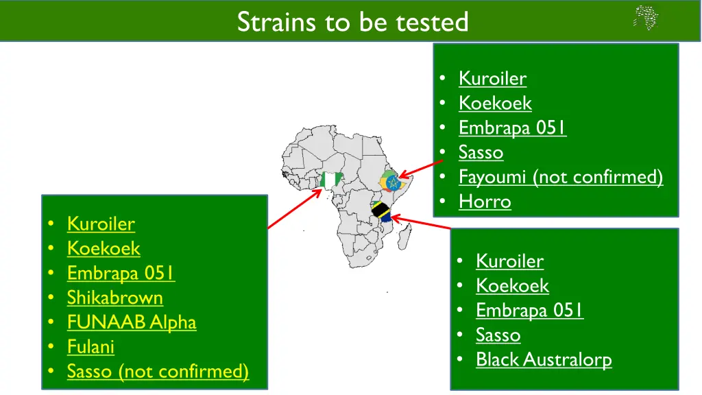 strains to be tested