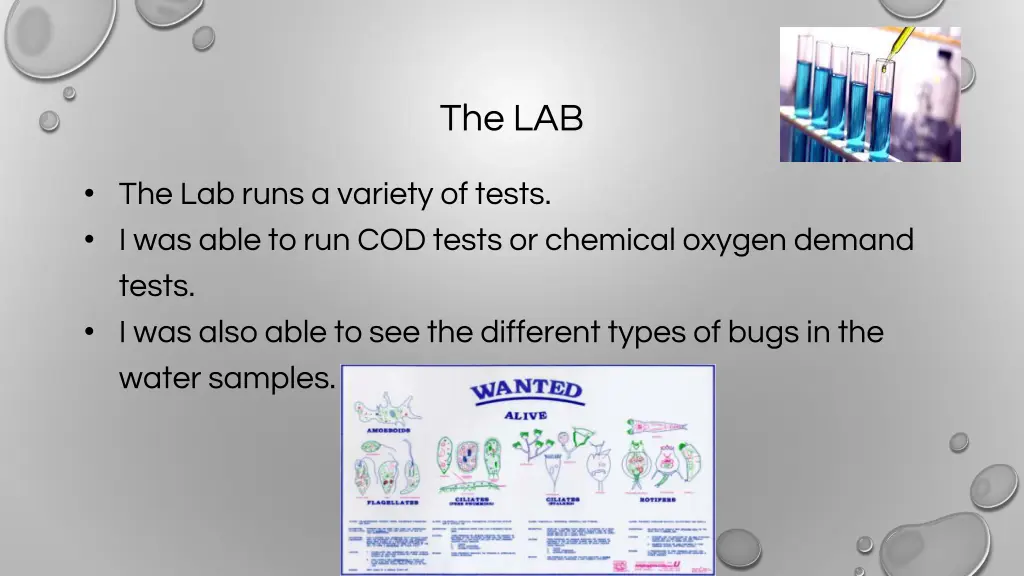 the lab