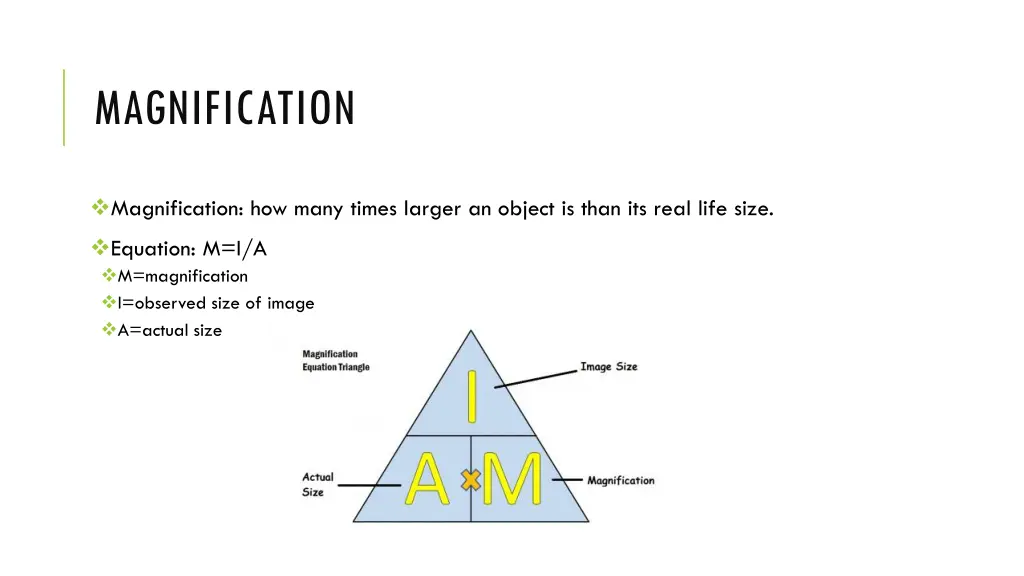 magnification