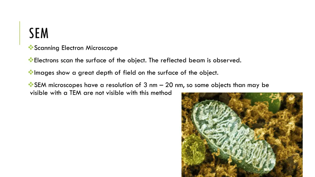 sem scanning electron microscope