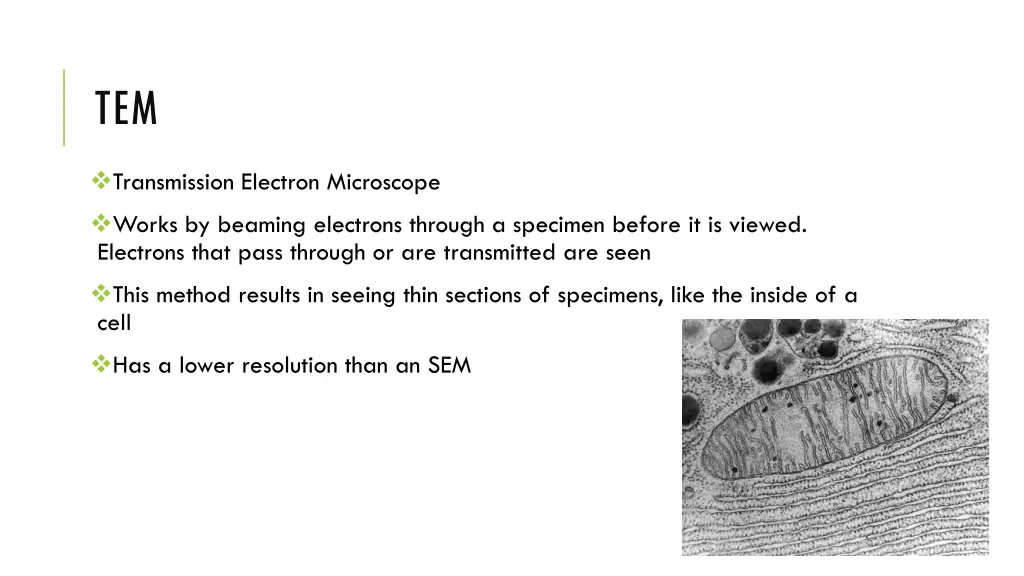 slide13