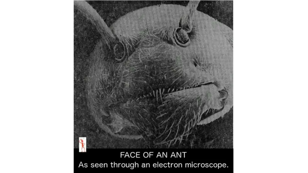 slide17
