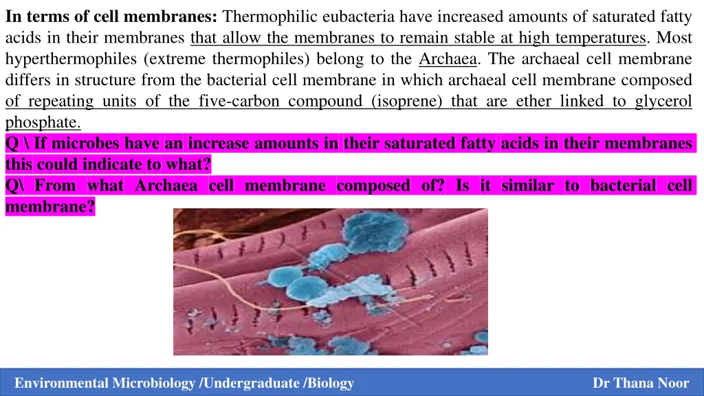 in terms of cell membranes thermophilic