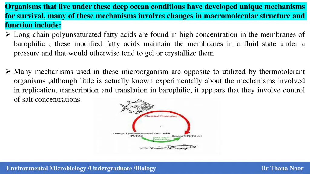 organisms that live under these deep ocean