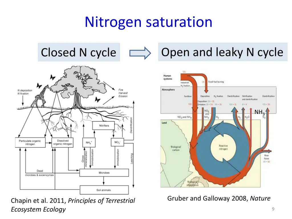 nitrogen saturation