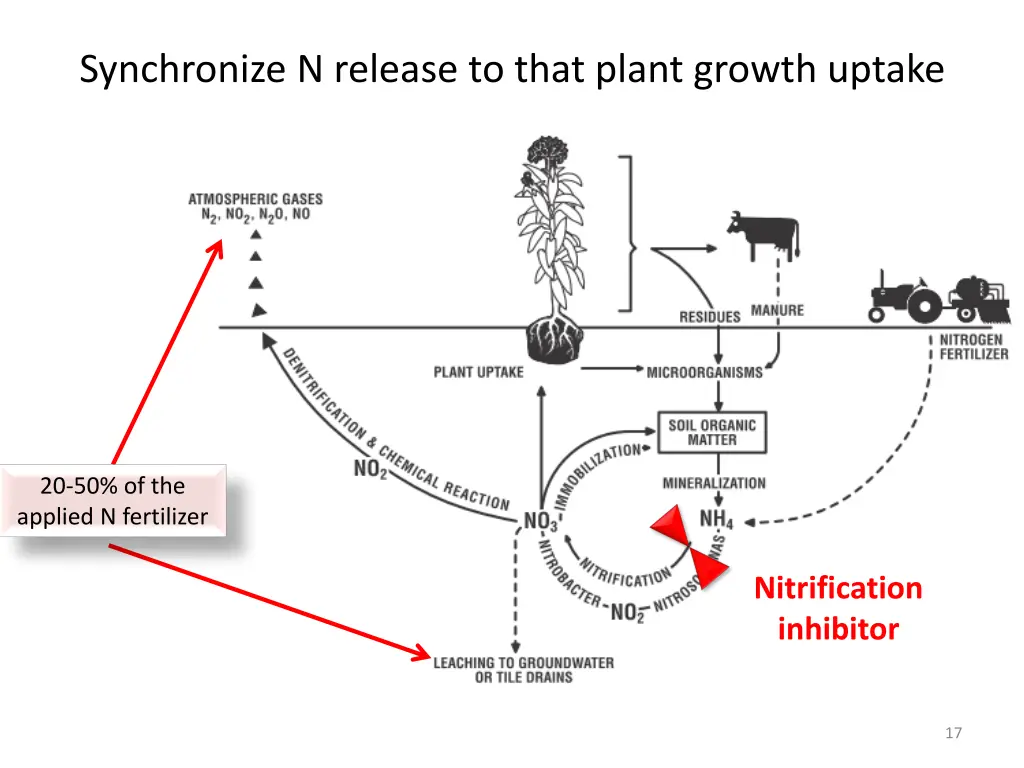 synchronize n release to that plant growth uptake