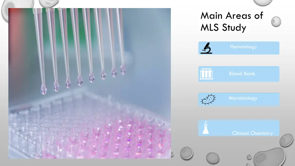 main areas of mls study