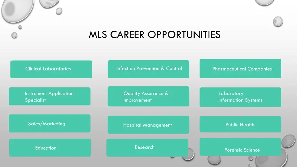 mls career opportunities