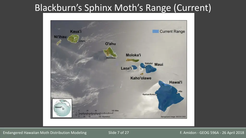 blackburn s sphinx moth s range current