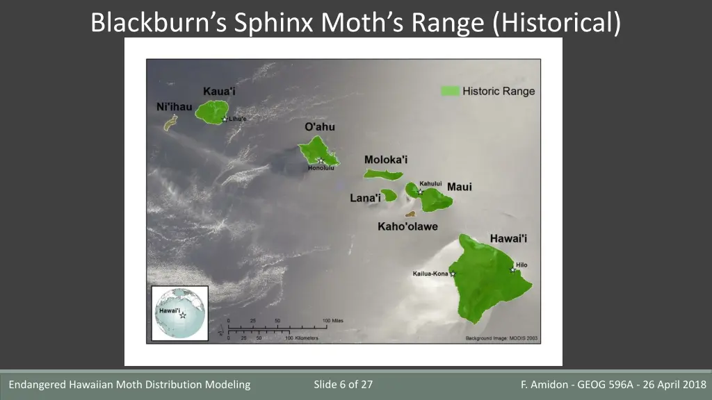 blackburn s sphinx moth s range historical