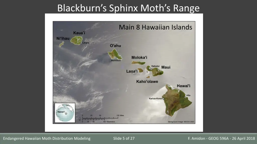 blackburn s sphinx moth s range