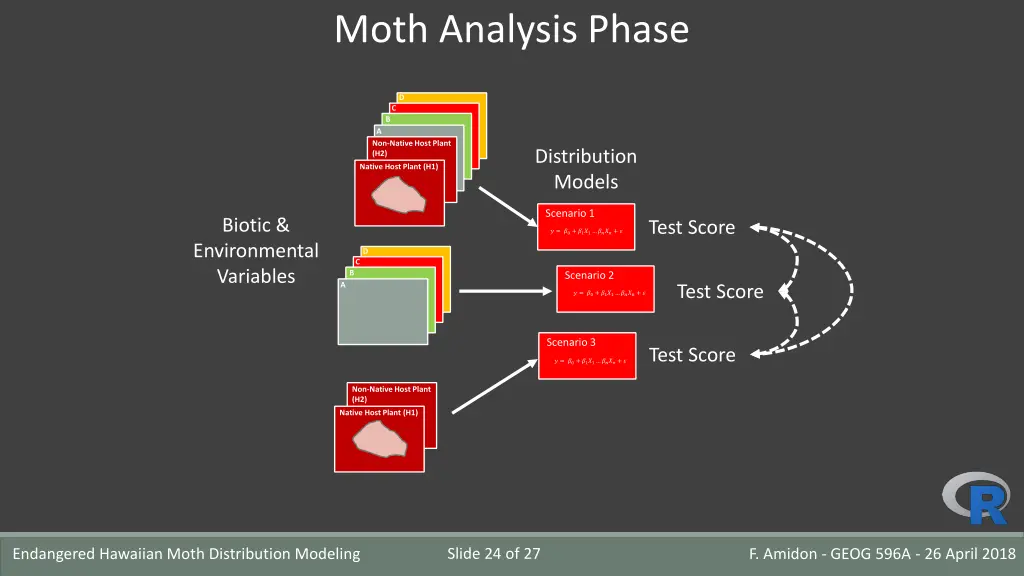 moth analysis phase