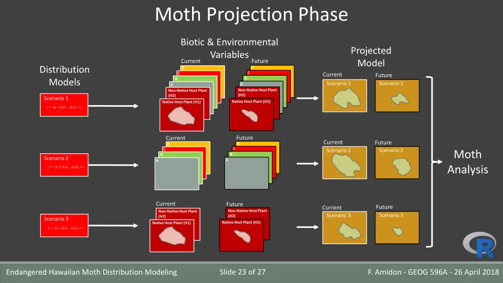 moth projection phase