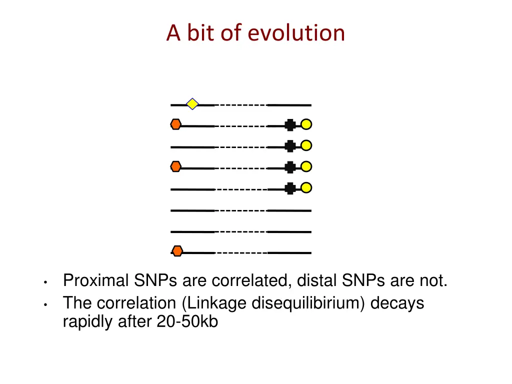 a bit of evolution 1