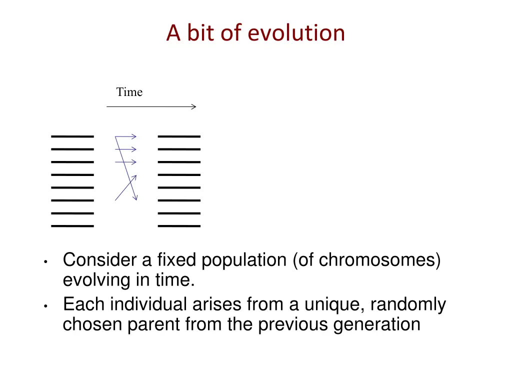 a bit of evolution
