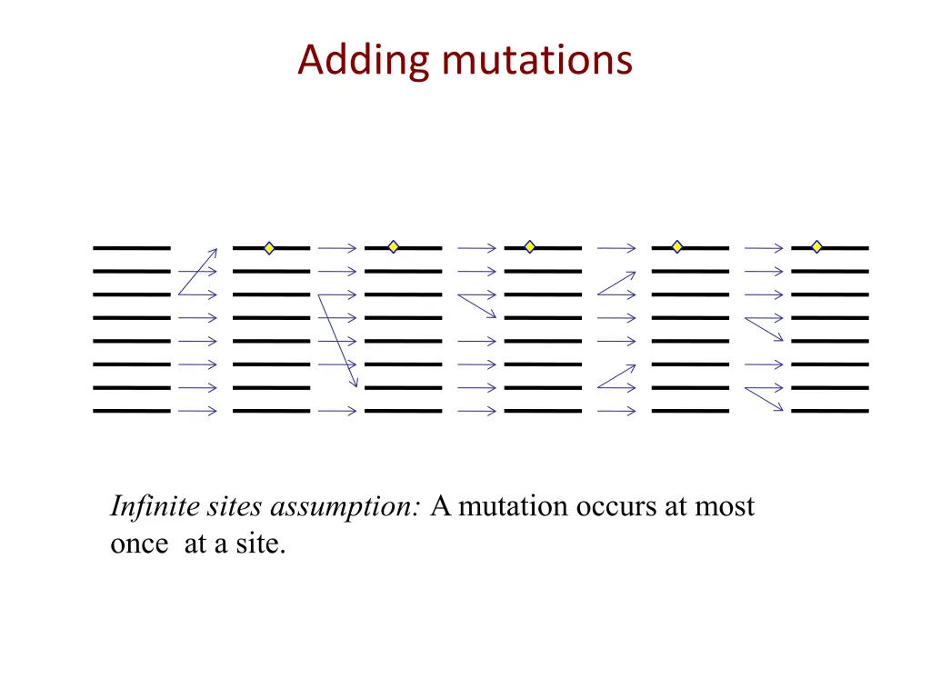 adding mutations