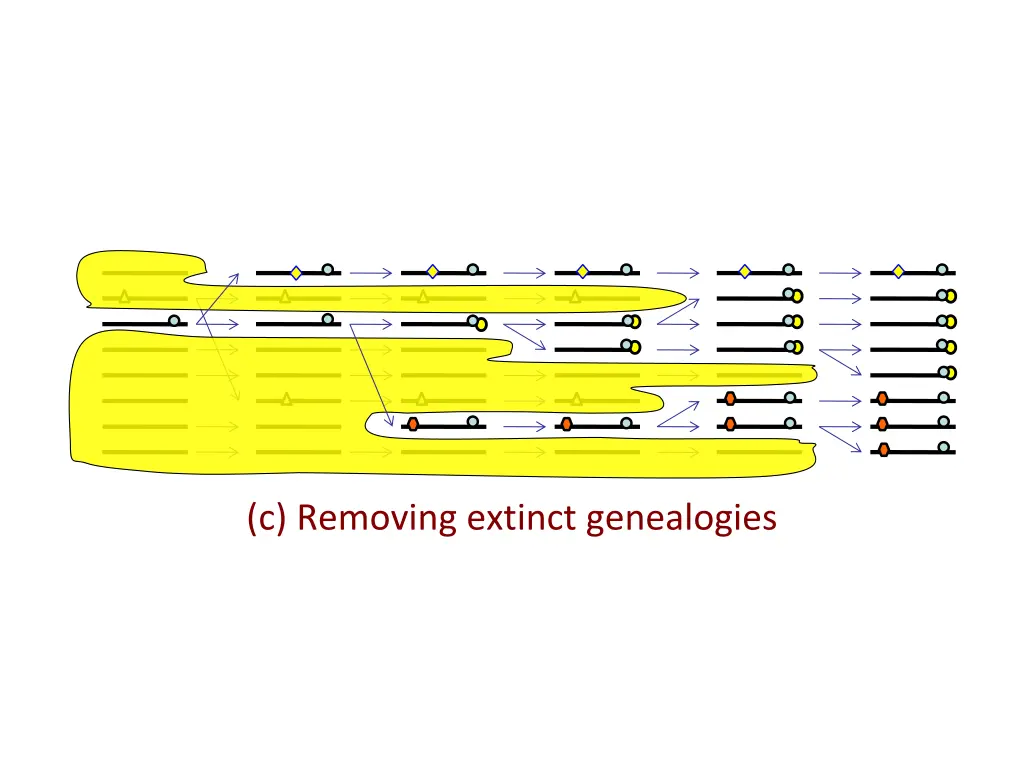 c removing extinct genealogies