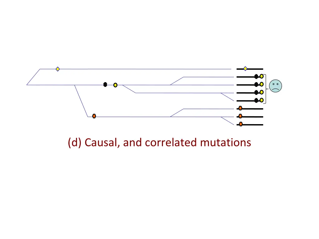 d causal and correlated mutations